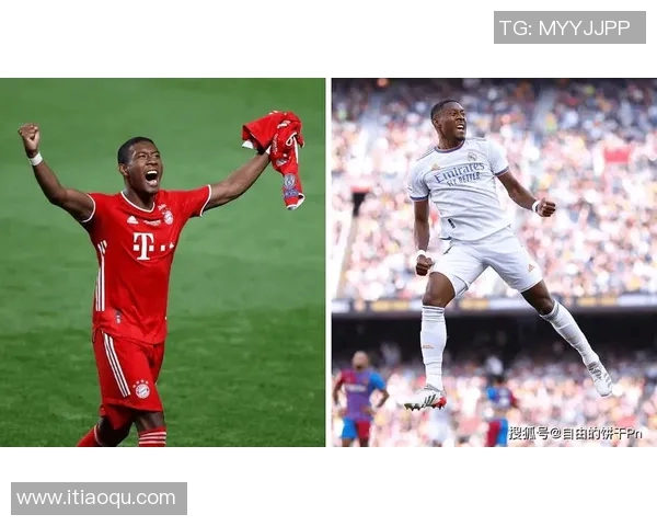 足球明星们的萌宠大揭秘：这些足球巨星的宠物名字你知道吗