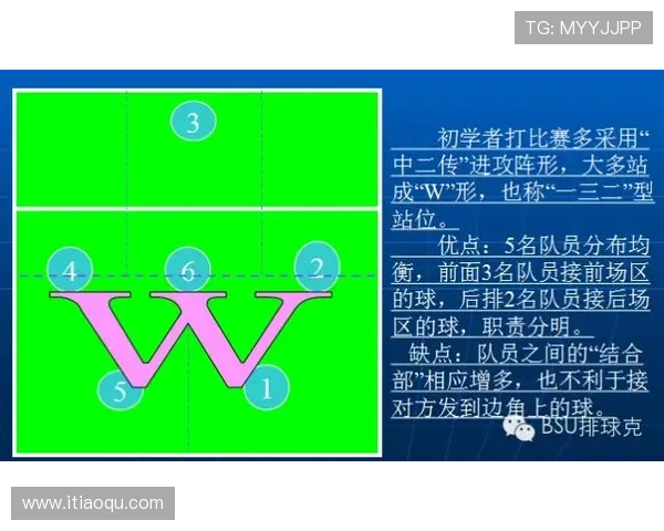 南京排球队的战术解析与控制体系研究探讨 南京排球队的战术解析与控制体系研究探讨