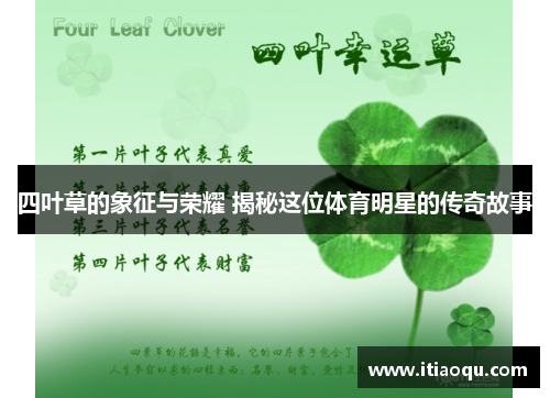 四叶草的象征与荣耀 揭秘这位体育明星的传奇故事