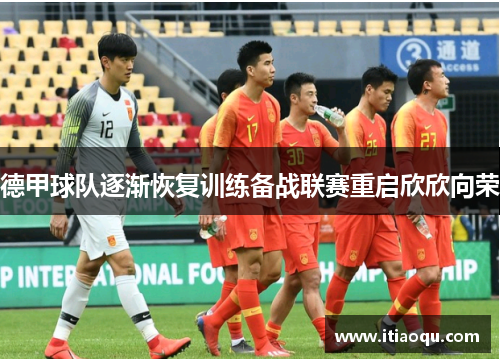 德甲球队逐渐恢复训练备战联赛重启欣欣向荣