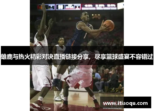 雄鹿与热火精彩对决直播链接分享，尽享篮球盛宴不容错过